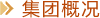 集團概況
