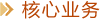 核心業(yè)務(wù)