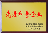 先進私營企業