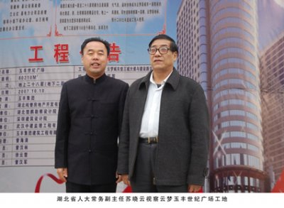 湖北省人大常務副主任蘇曉云視察云夢玉豐世紀廣場