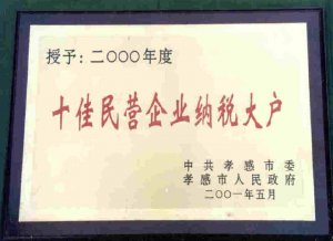 2001十佳民營企業納稅大戶