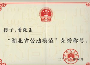 董事長曾純玉獲“湖北省勞動模范”榮譽稱號