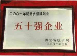 湖北省統(tǒng)計局授予“五十強企業(yè)”
