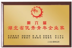 第六屆湖北省優(yōu)秀青年企業(yè)家