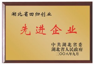 湖北省回歸創業先進企業