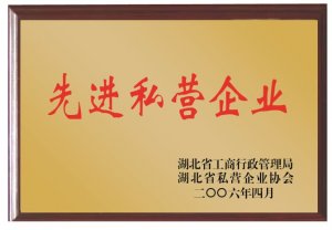 先進私營企業