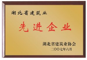 湖北省建筑業先進企業