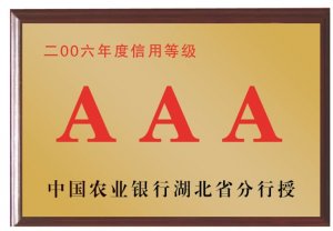 中國農業銀行湖北省分行2006年度信用等級AAA